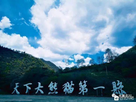 电动车撞人后逃逸法律怎么处理？游戏画面